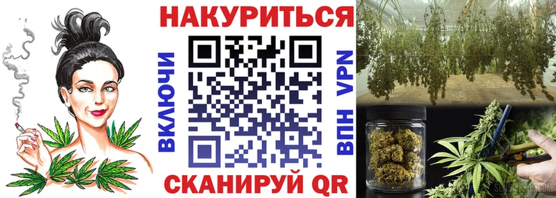 купить наркотики цена  Тавда  omg ссылки  Бошки Шишки VHQ 